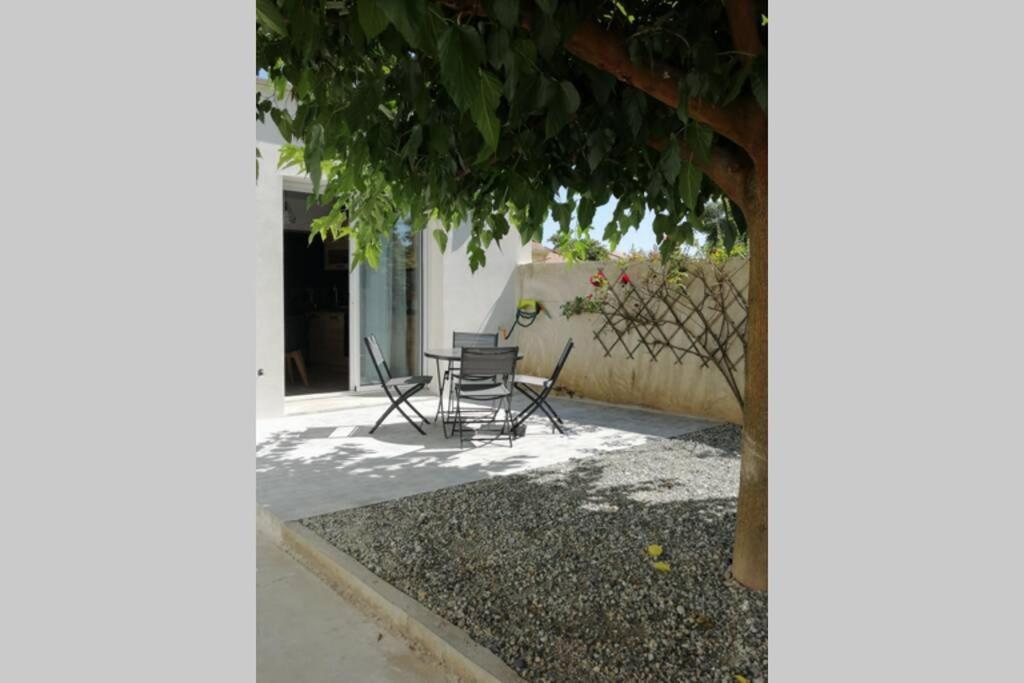 Charmant Appartement Avec Terrasse Pont-de-l'Isere Exterior photo